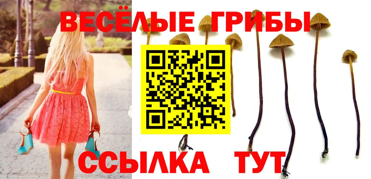 Галлюциногенные грибы ЛСД Учалы